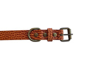 Detail van de antiek messing gesp en D-ring van de lichtbruine halsband