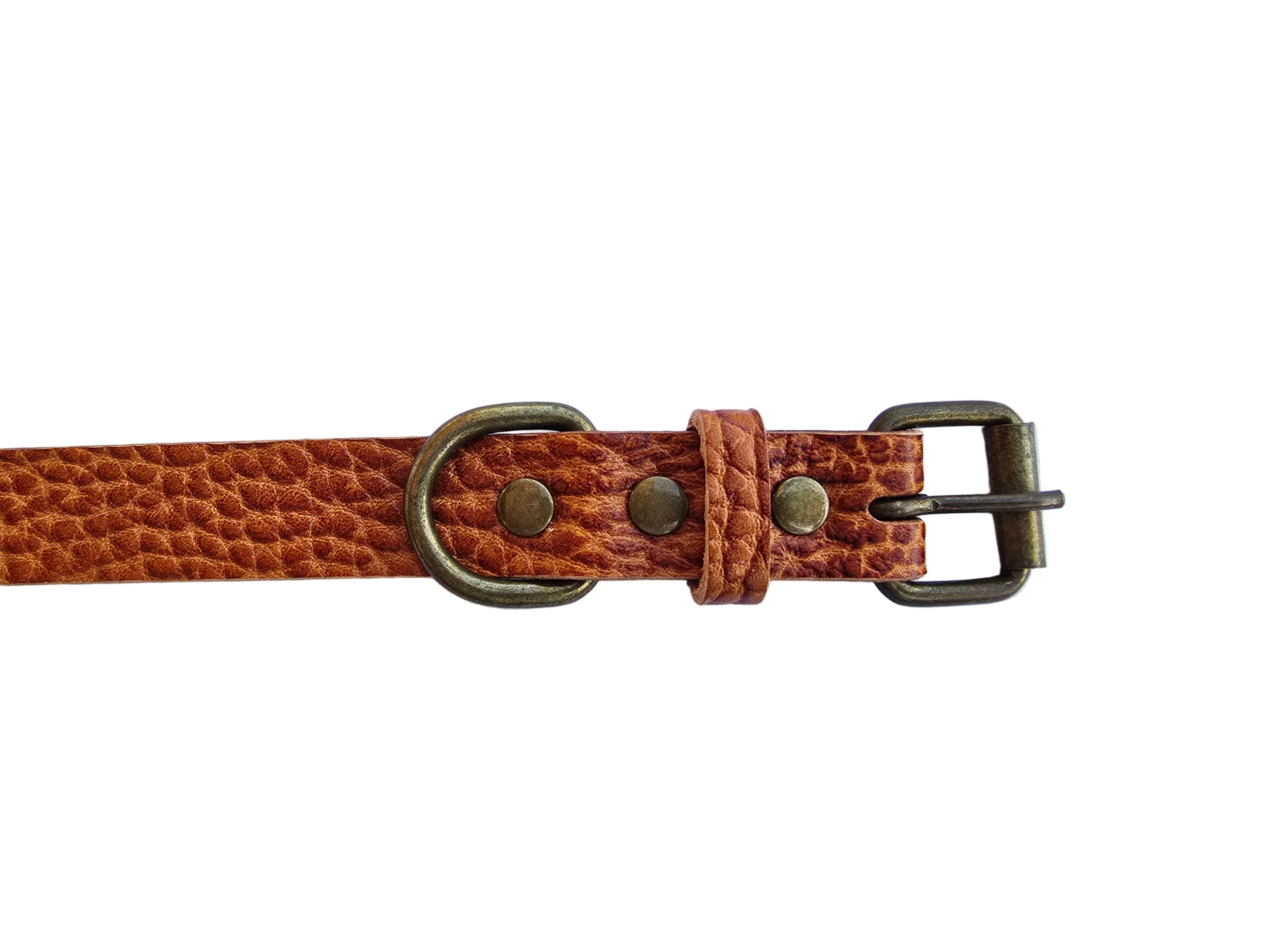 Detail van de antiek messing gesp en D-ring van de lichtbruine halsband