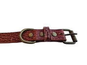Detail van de antiek messing gesp en D-ring van de donkerbruine halsband