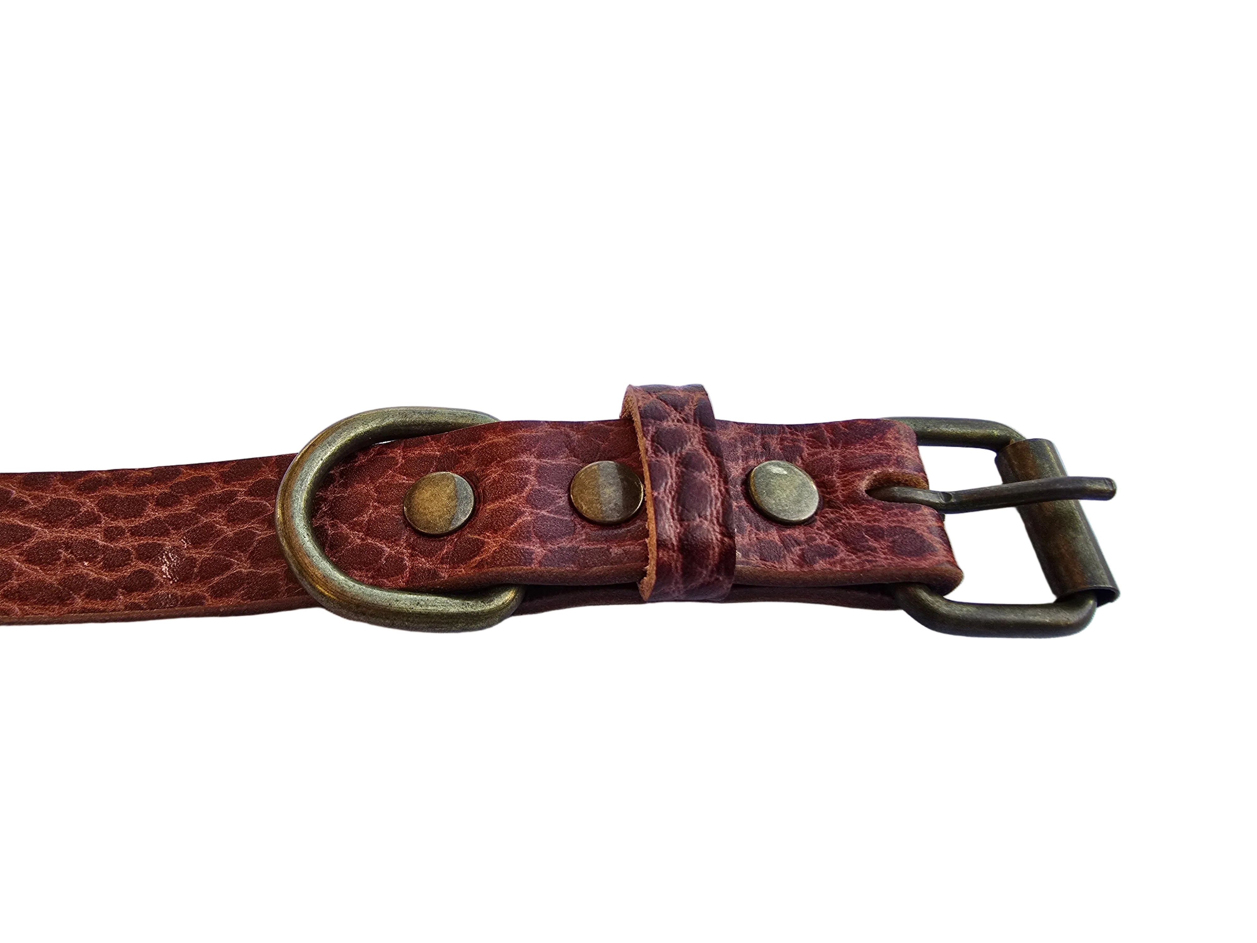 Detail van de antiek messing gesp en D-ring van de donkerbruine halsband